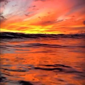 Meet your Posher, Eva